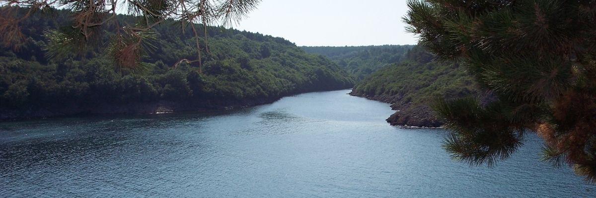 Hamsilos Koyu’nun Doğal Zenginlikleri ve Korunma Hikâyesi