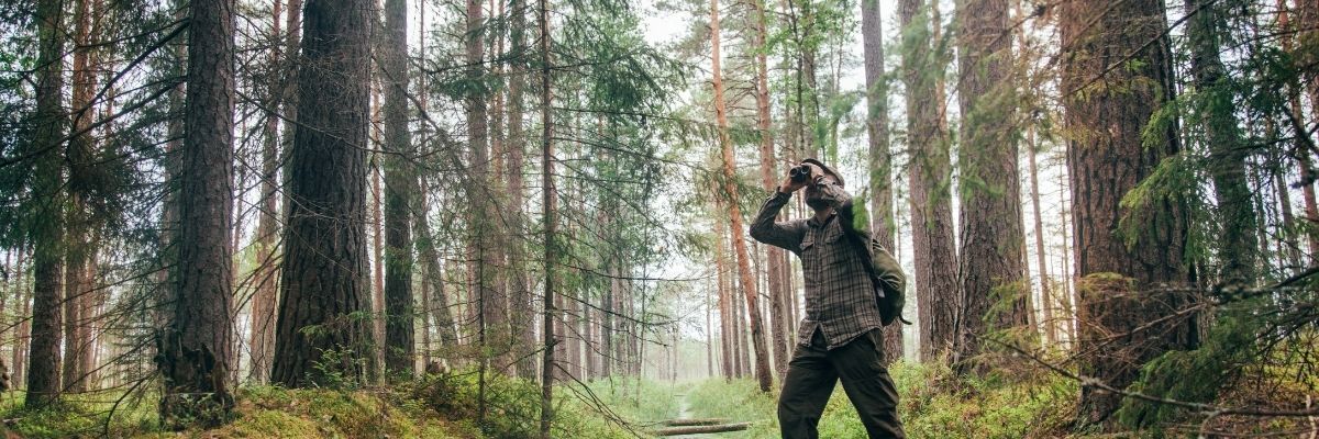 Sinop’ta Kuş Gözlemciliği Sessiz Ziyaretçilere Ev Sahipliği