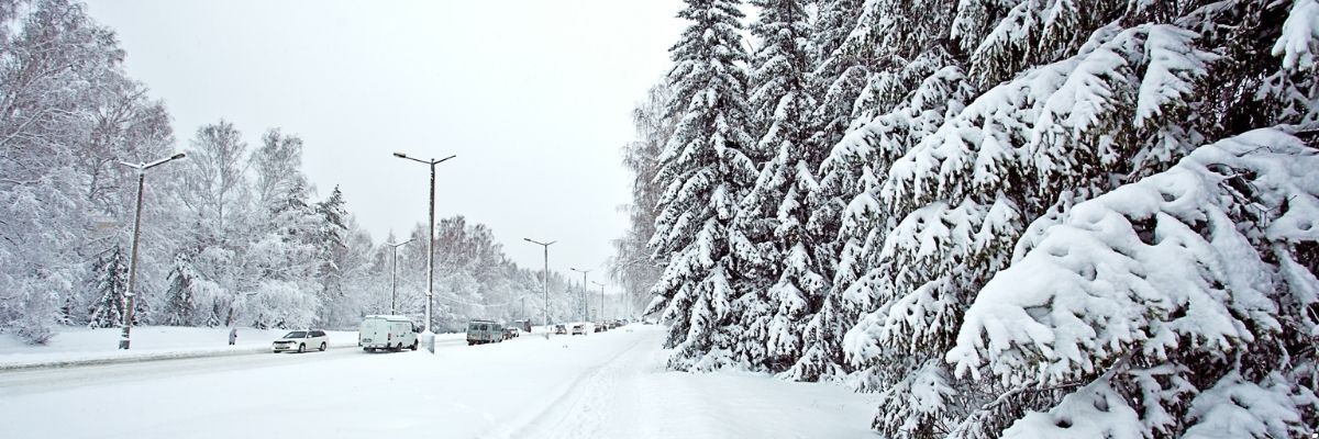 Kış Aylarında Sinop Doğasında Neler Yapılır